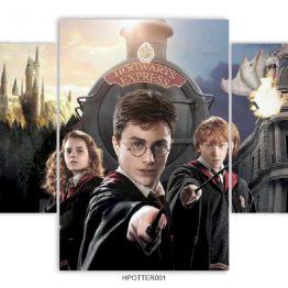HPOTTER001