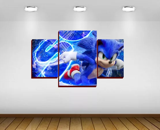 Mural Cuadro Sonic