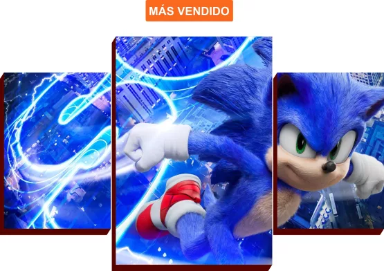 Mural Cuadro Sonic