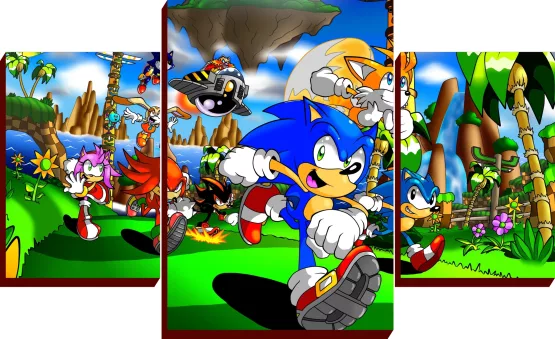 Cuadros Murales Sonic - Imagen 2