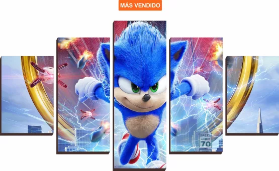 Mural Cuadro Sonic